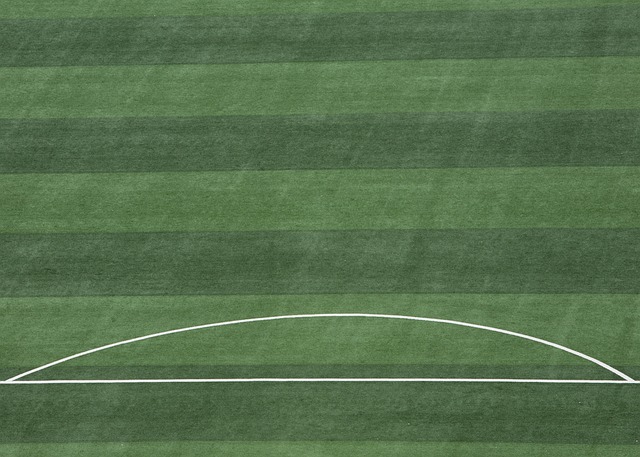 红牛车队高层霍纳、纽维、马尔科2025年集体离队